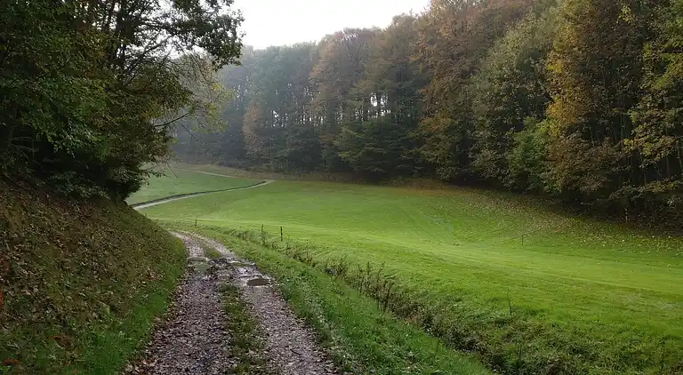 Ferienhaus in Andkær Vig