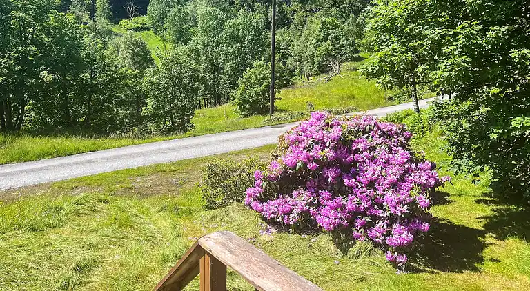 Semesterbostad i Brosvik