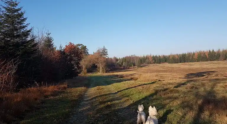 Casa vacanze in Branderup J