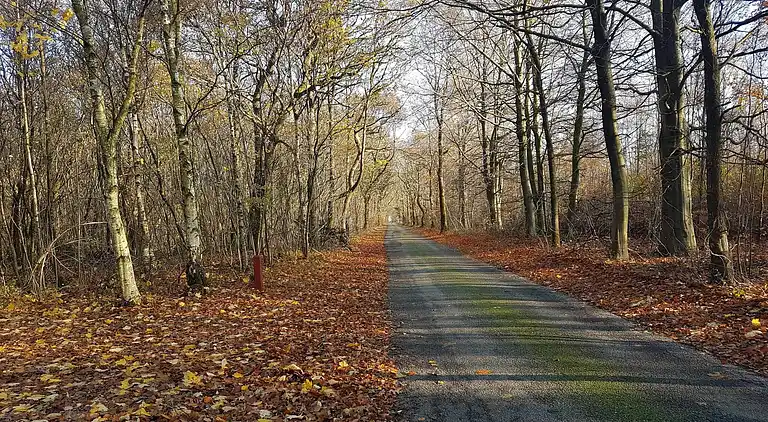 Casa vacanze in Branderup J