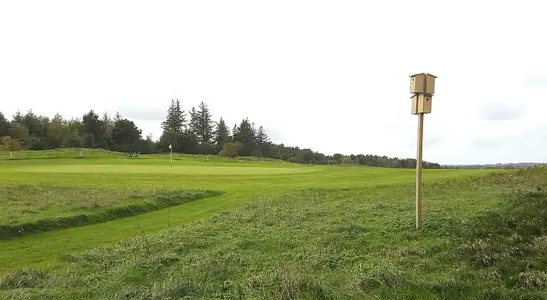 Holiday home in Fjerritslev