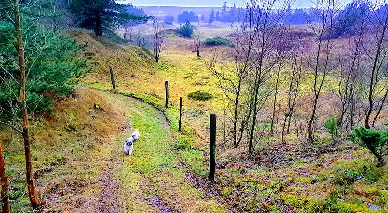 Holiday home in Fjerritslev
