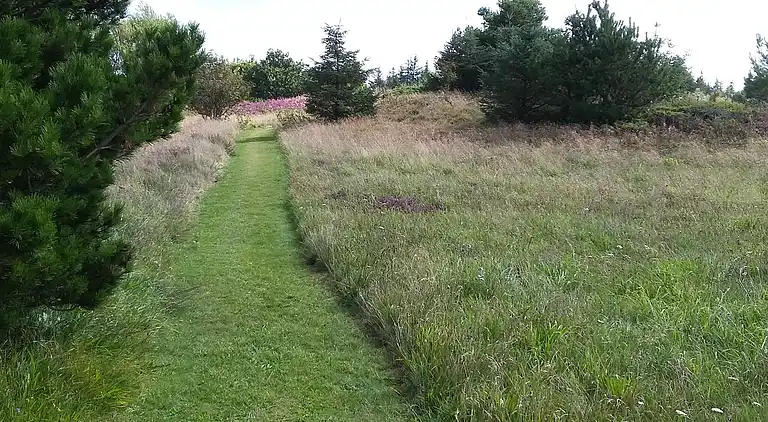 Holiday home in Fjerritslev