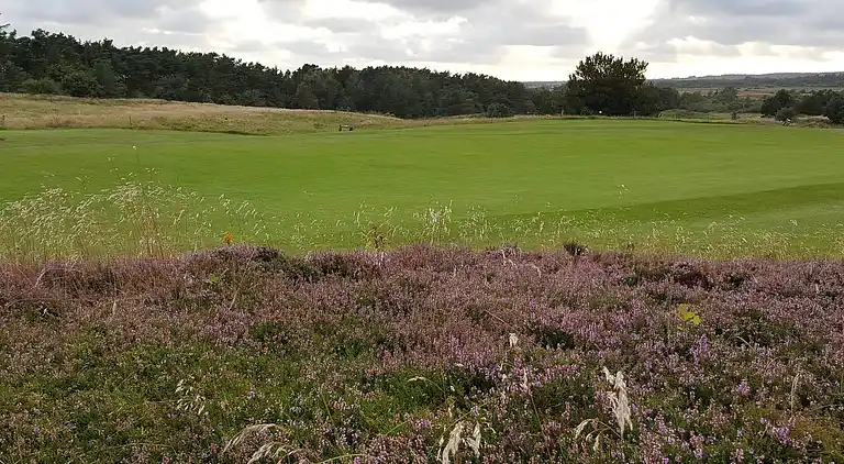 Holiday home in Fjerritslev