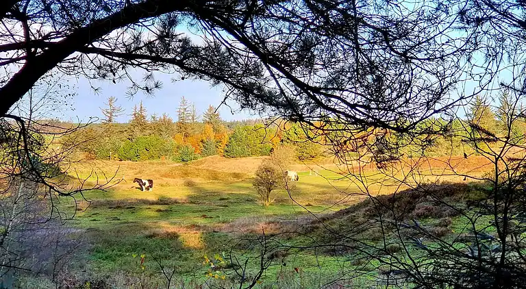 Holiday home in Fjerritslev