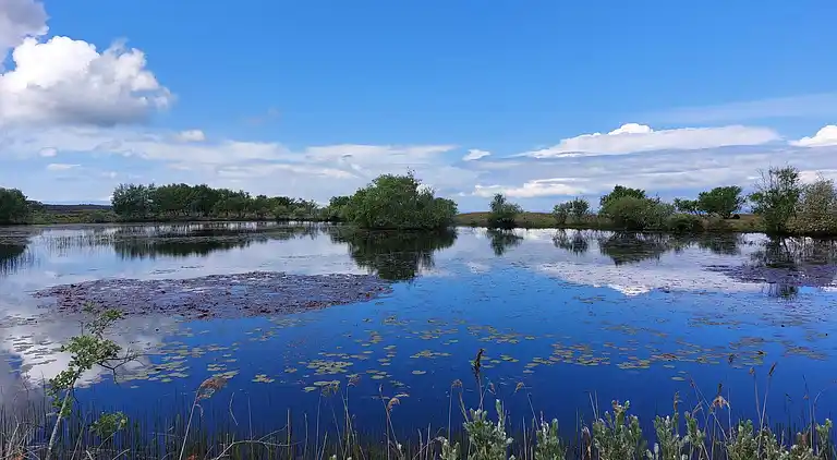 Holiday home on Læsø