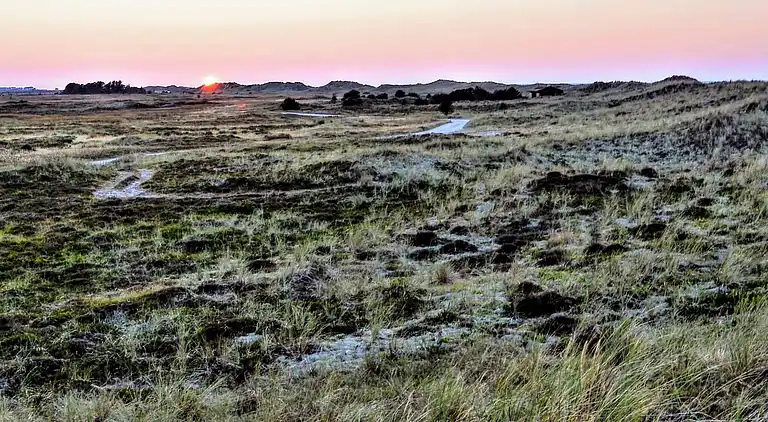 Holiday home on Læsø