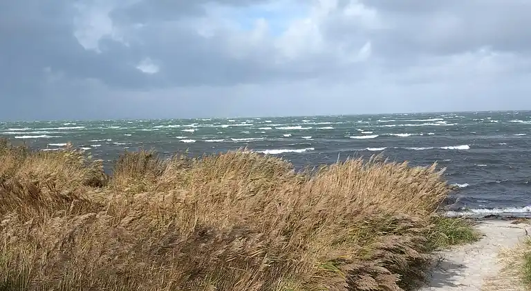 Holiday home on Læsø