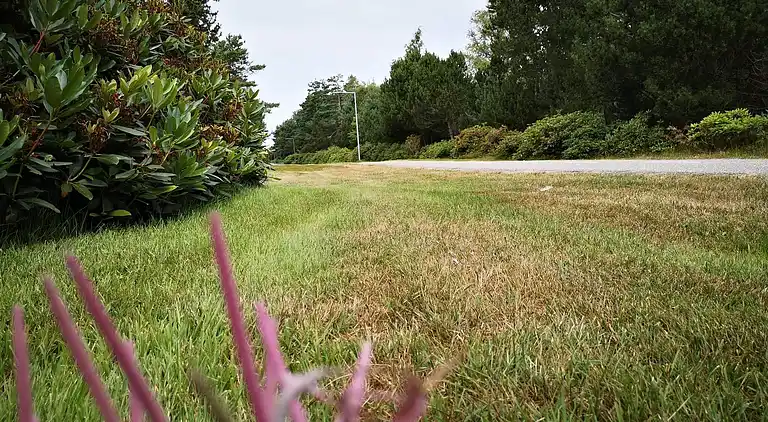 Holiday home on Læsø