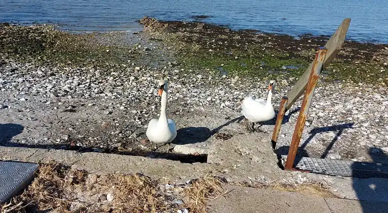 Holiday home in Bogense