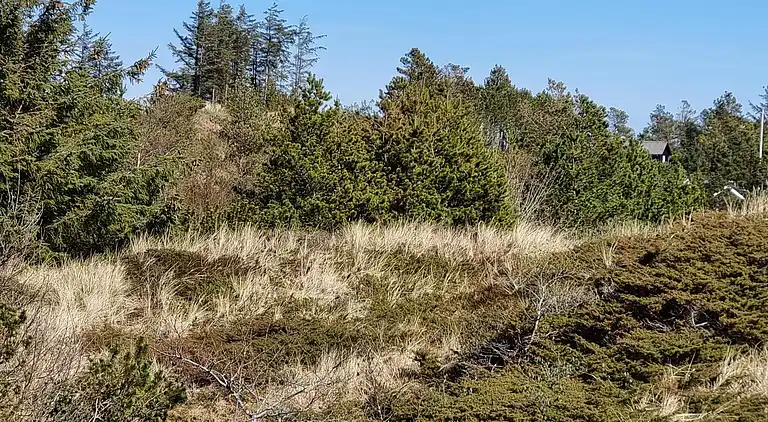 Holiday home in Fjerritslev