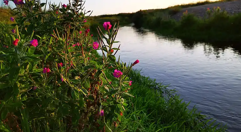 Holiday home in Fjerritslev