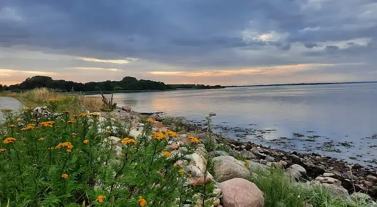Sommerhus i Middelfart