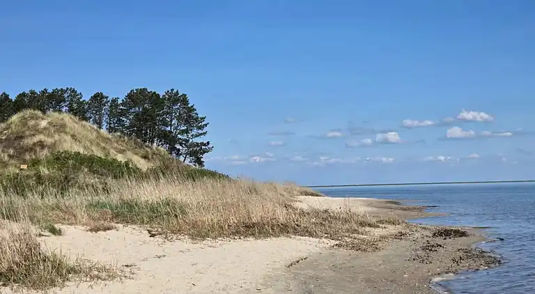 Holiday home in Kongsmark