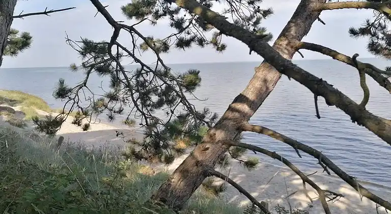 Holiday home in Kongsmark