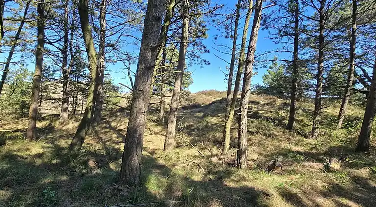 Holiday home in Kongsmark