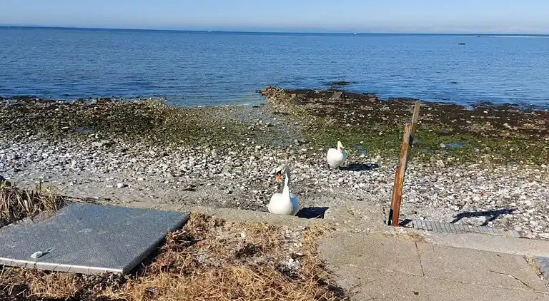 Semesterbostad i Bogense