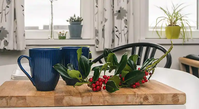 Feriebolig i Havneby