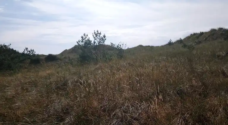 Feriebolig i Vesterø Havn