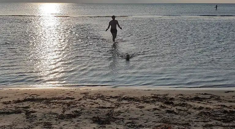 Feriebolig i Vesterø Havn