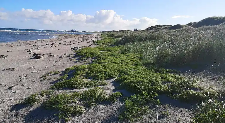 Feriebolig i Vesterø Havn