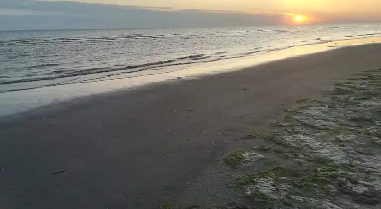 Feriebolig ved Rindby Strand