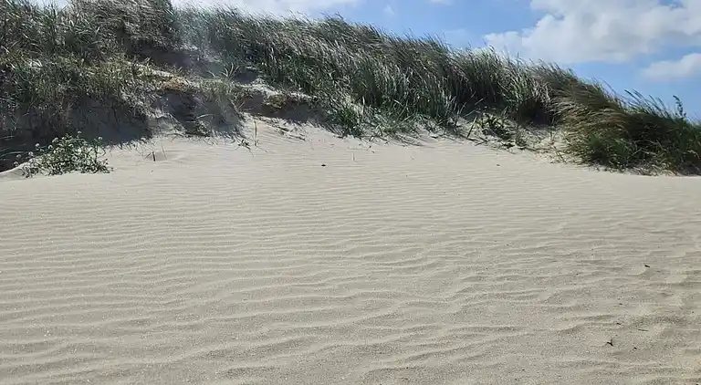 Feriebolig ved Rindby Strand