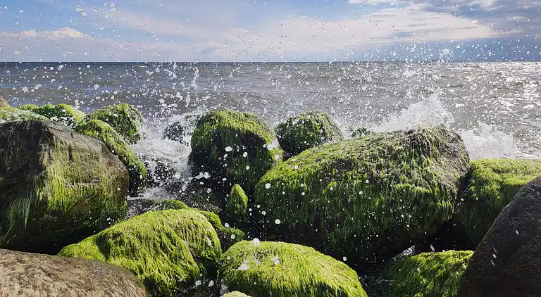 Casa vacanze in Rødby