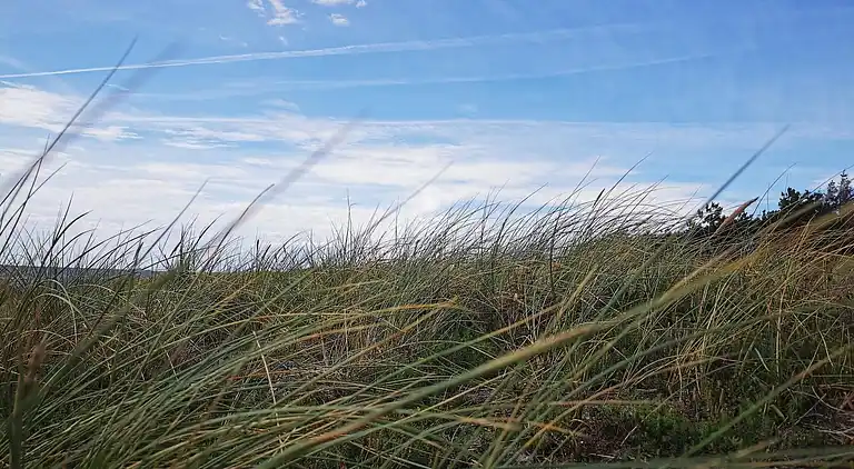 Casa vacanze in Rødby