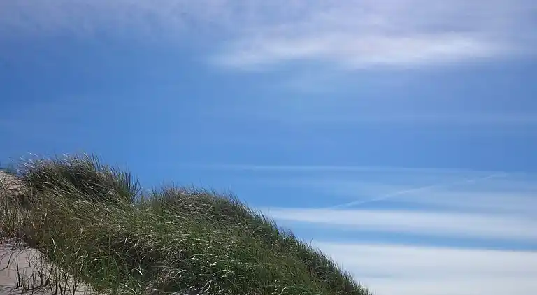 Holiday home in Hirtshals