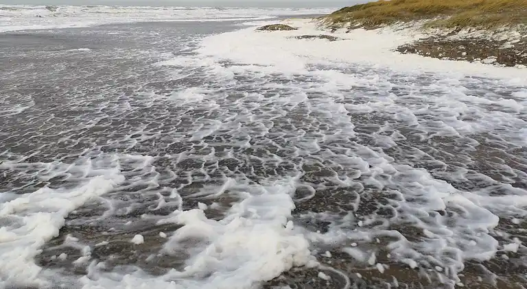 Holiday home in Hirtshals