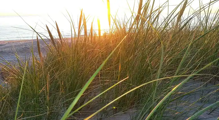 Holiday home in Hirtshals