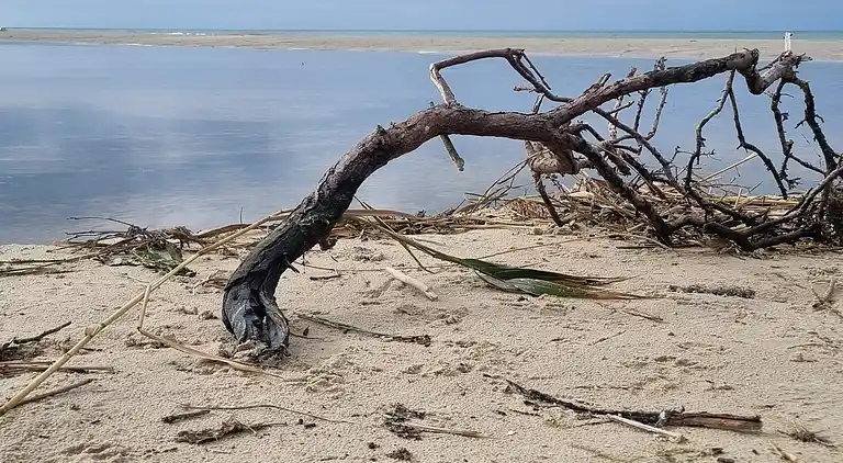 Vakantiehuis in Bindslev