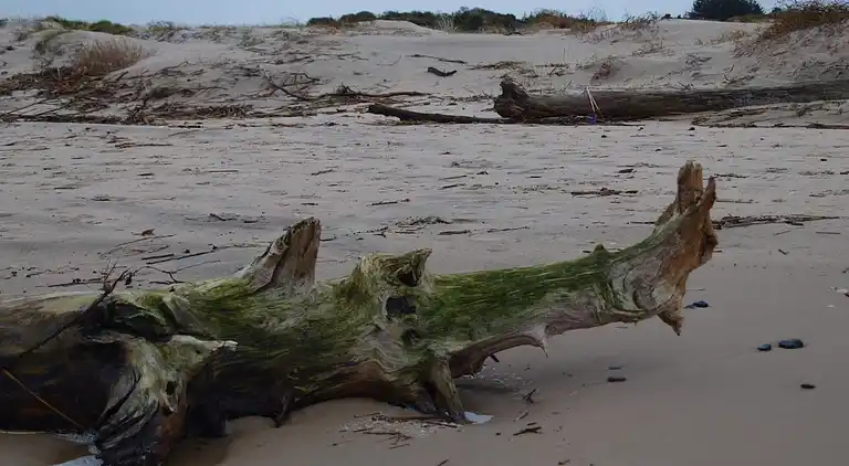 Vakantiehuis in Bindslev