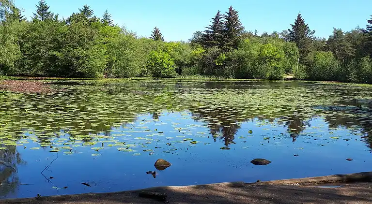 Vakantiehuis in Bindslev