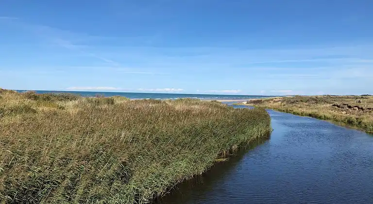 Vakantiehuis in Bindslev