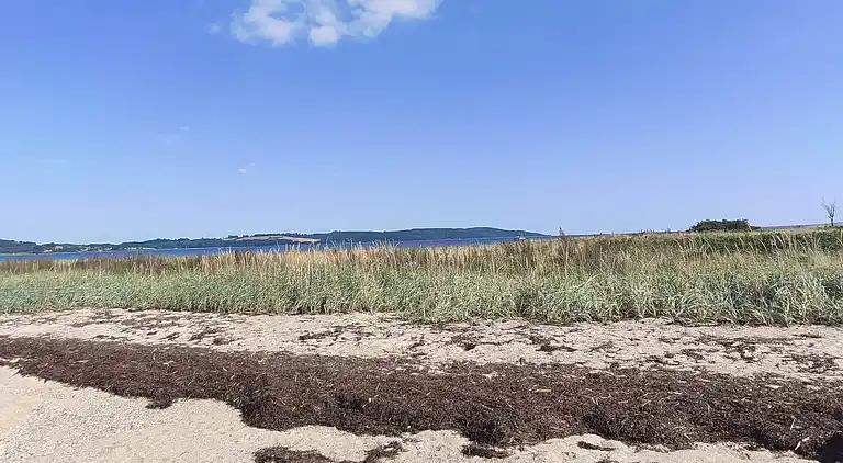 Holiday home in Hvidbjerg Strand