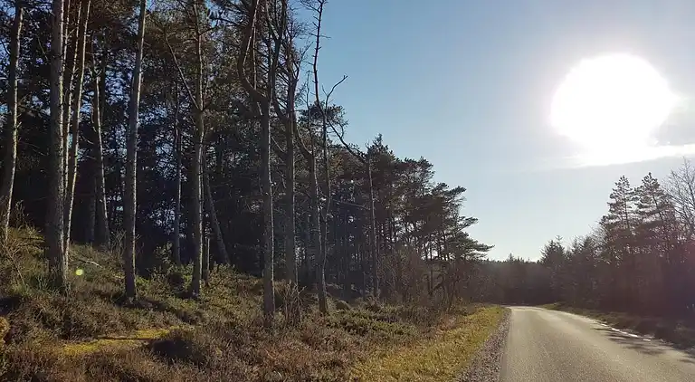 Holiday home in Fjerritslev