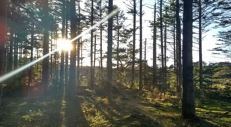 Holiday home in Fjerritslev