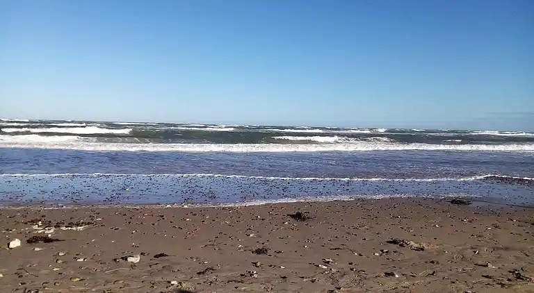 Holiday home in Fjerritslev