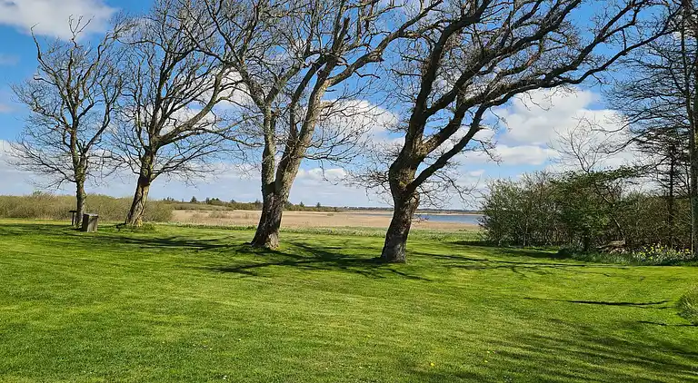 Holiday home in Ulfborg