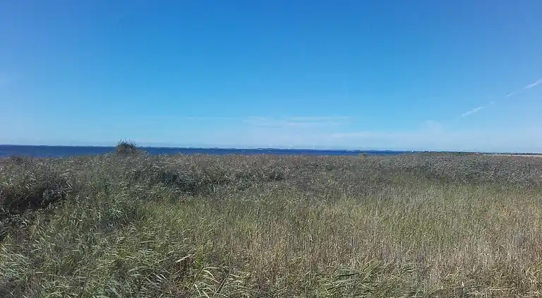 Feriebolig i Harpelunde