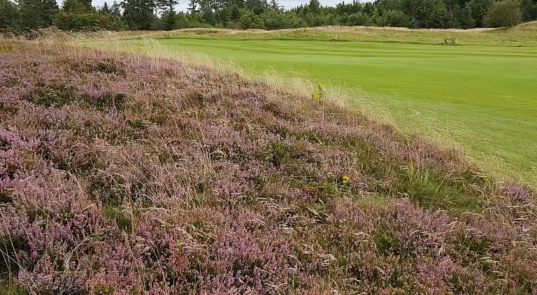 Holiday home in Fjerritslev