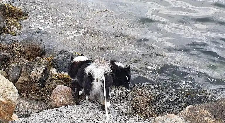 Feriebolig i Harpelunde