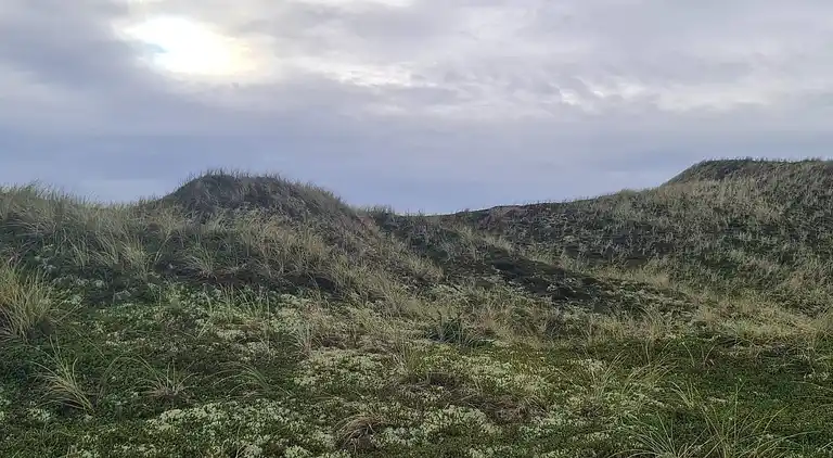 Casa vacanze in Ulfborg