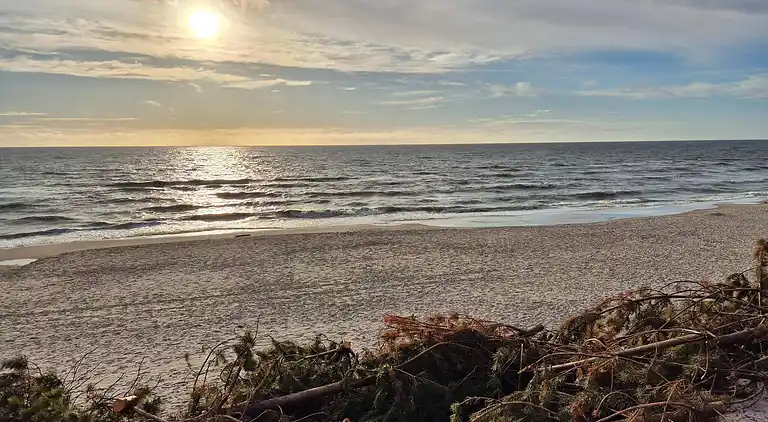 Casa vacanze in Ulfborg