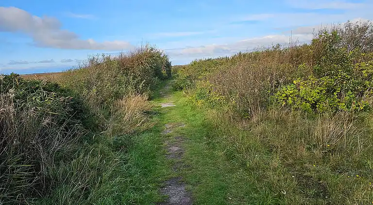 Ferienhaus in Nørre Fjand