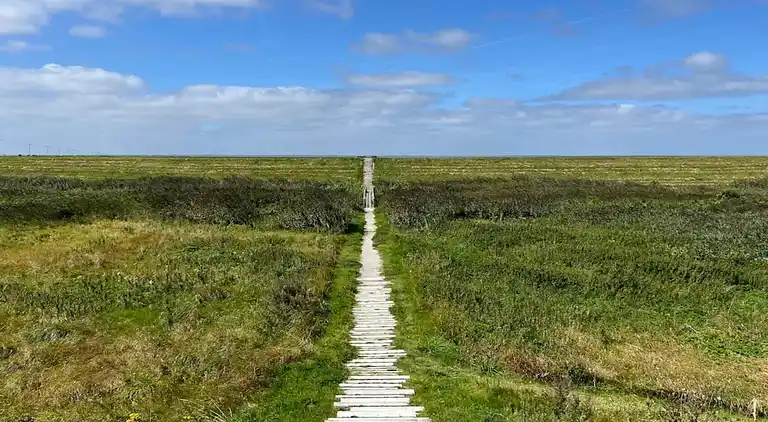 Sommerhus i Skærbæk