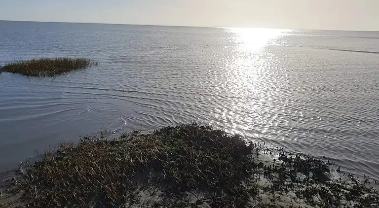 Sommerhus i Skærbæk