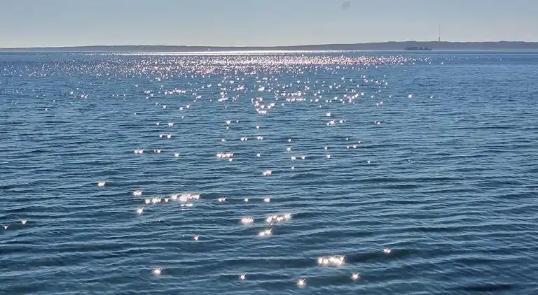 Sommerhus i Skærbæk